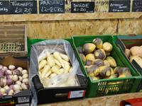 autumn vegetables in farm shop